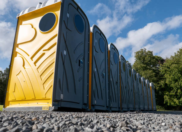 Best Standard Portable Toilet Rental  in Wolfe City, TX