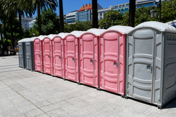 Best Deluxe Portable Toilet Rental  in Wolfe City, TX